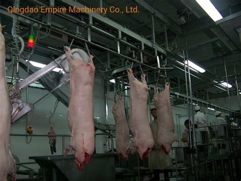 hogs shipped to china for processing